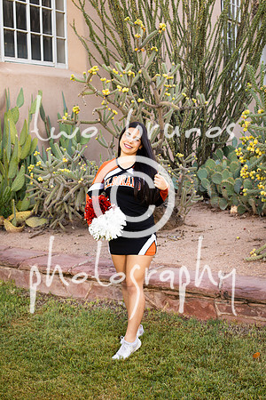 EHS Cheer 26 27-415884