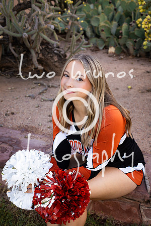 EHS Cheer 26 27-415666