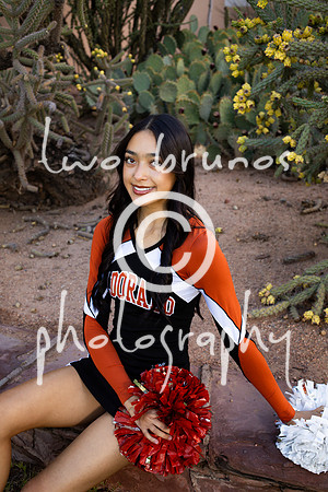 EHS Cheer 26 27-415568