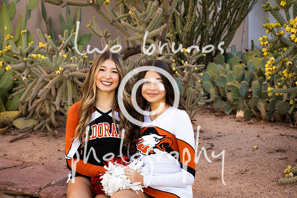 EHS Cheer 26 27-416081