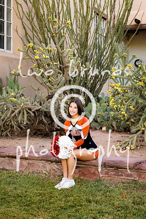 EHS Cheer 26 27-415944