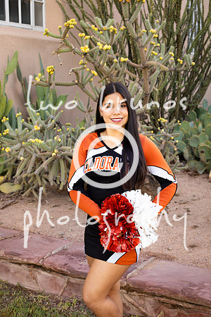 EHS Cheer 26 27-415879