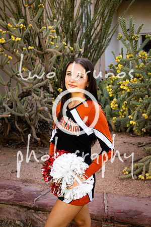EHS Cheer 26 27-415981