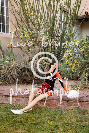 EHS Cheer 26 27-415819