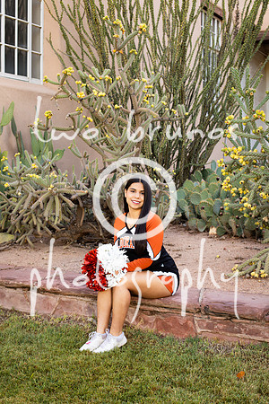 EHS Cheer 26 27-415874