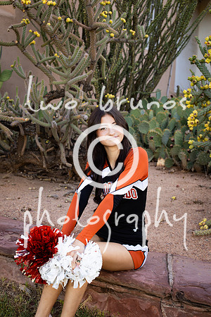 EHS Cheer 26 27-415825