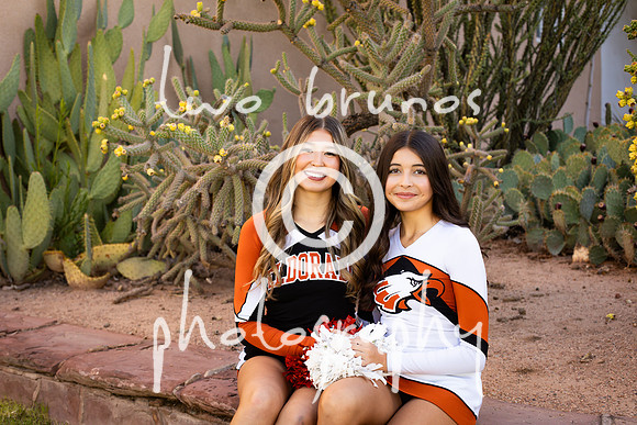 EHS Cheer 26 27-416082