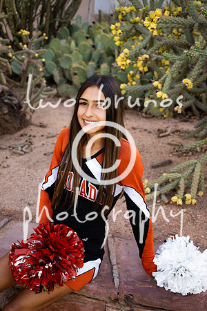EHS Cheer 26 27-415772