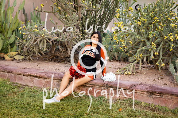 EHS Cheer 26 27-415865