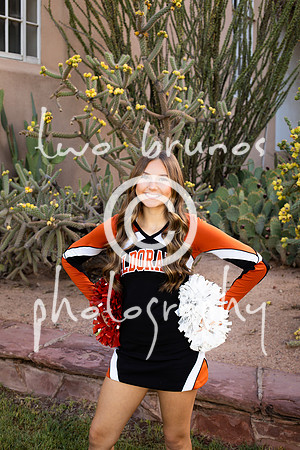 EHS Cheer 26 27-415760