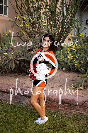 EHS Cheer 26 27-415486