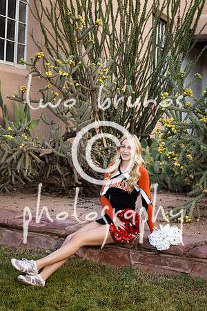 EHS Cheer 26 27-415515
