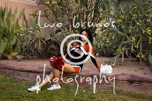 EHS Cheer 26 27-415476