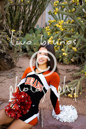 EHS Cheer 26 27-415939