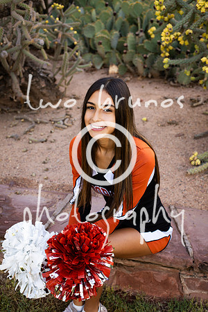 EHS Cheer 26 27-415776