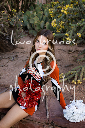 EHS Cheer 26 27-415585