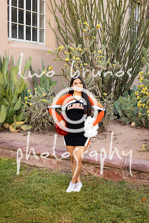 EHS Cheer 26 27-415880