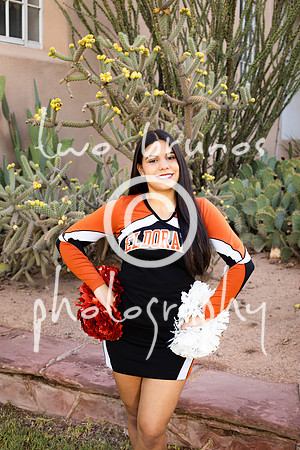 EHS Cheer 26 27-415882