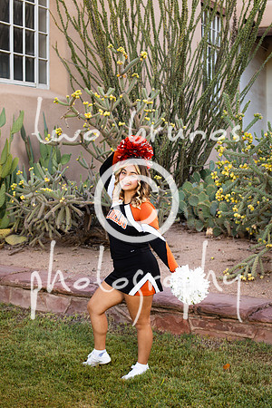 EHS Cheer 26 27-415810