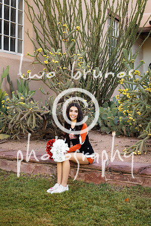 EHS Cheer 26 27-415899