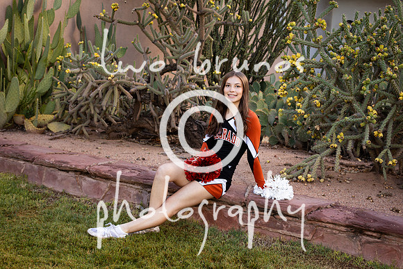 EHS Cheer 26 27-415679