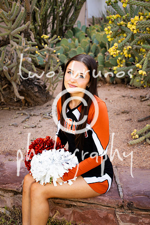 EHS Cheer 26 27-415974
