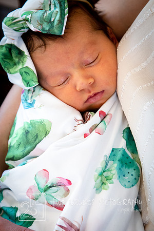 Cecelia 2021-0309