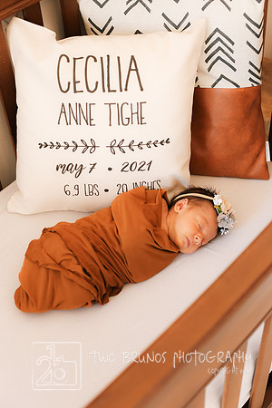 Cecelia 2021-9139