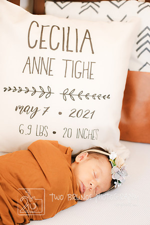 Cecelia 2021-9146