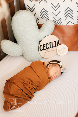 Cecelia 2021-9150
