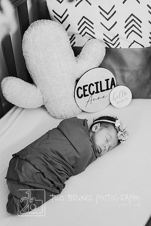 Cecelia 2021-9150-2