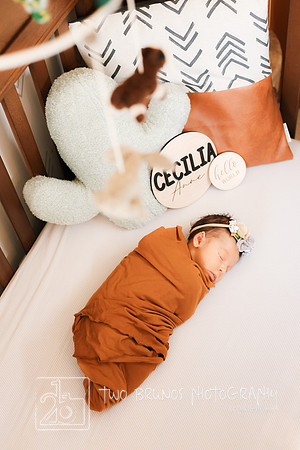 Cecelia 2021-9151