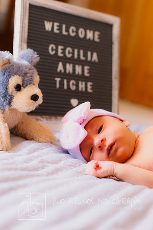 Cecelia 2021-9187