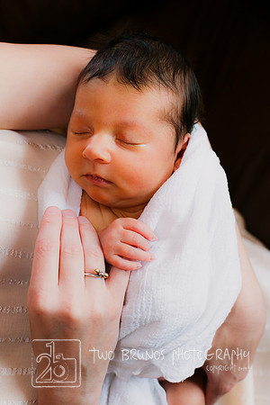 Cecelia 2021-9408