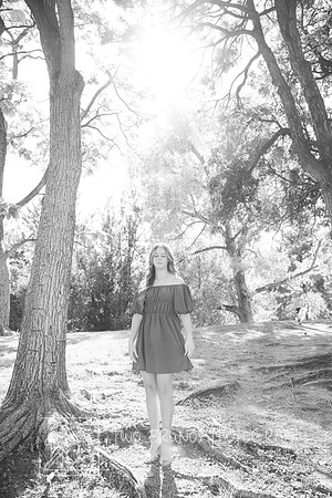 Paige-4244-2