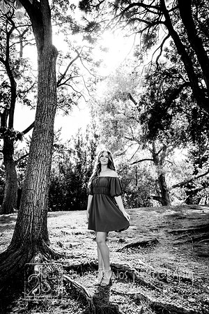 Paige-4245-2