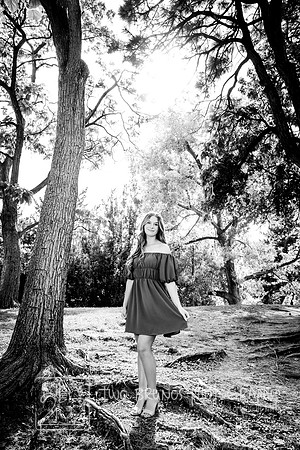 Paige-4247-2