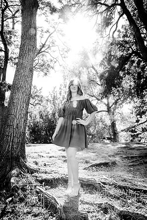 Paige-4249-2