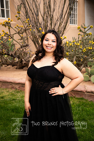 VVHS Prom 24-2679