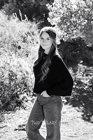 Paige-8670-2