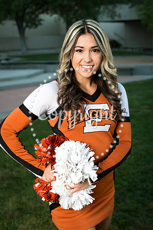 EHS Cheer 2018-1214