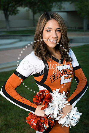 EHS Cheer 2018-1224