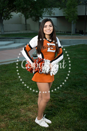 EHS Cheer 2018-1231