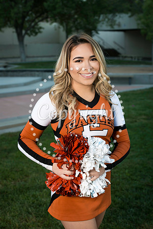 EHS Cheer 2018-1268