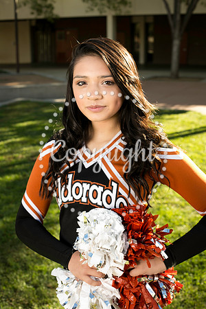 EHS Cheer 2018-1542