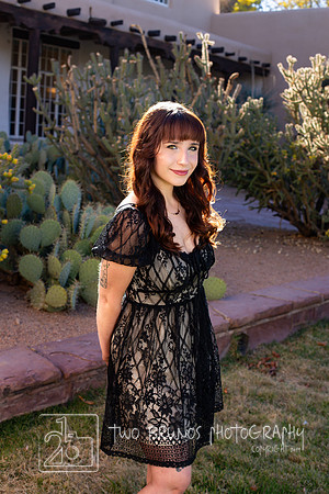 Sophia-9056