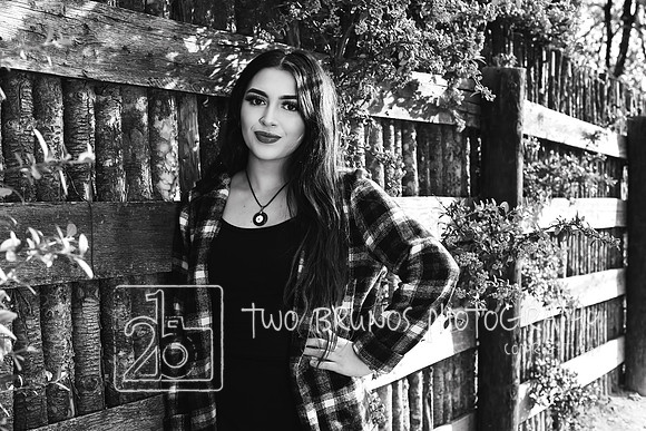 Craig-1115-2