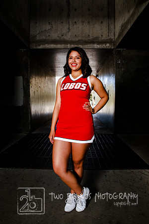 UNM Cheer 19-1222