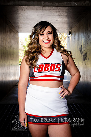 UNM Cheer 19-1294