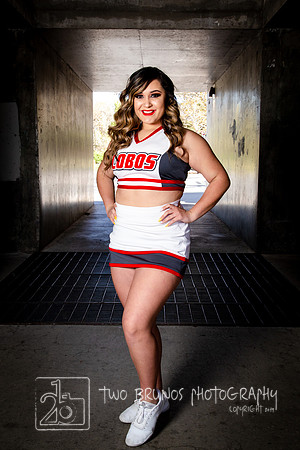 UNM Cheer 19-1295
